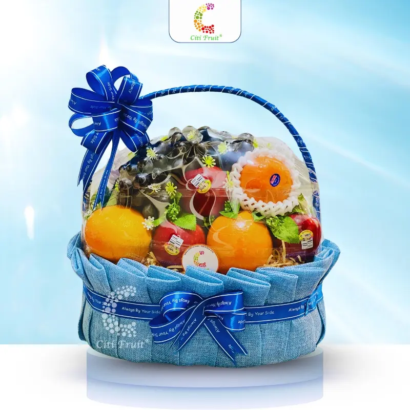 Giỏ Trái Cây Tặng Bác Sĩ CT104