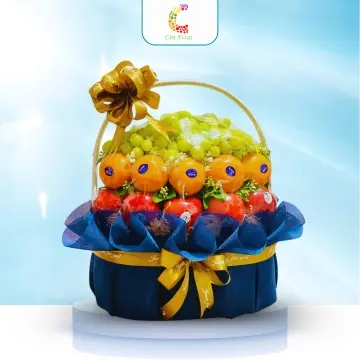 Giỏ Trái Cây Tặng Bác Sĩ CT15