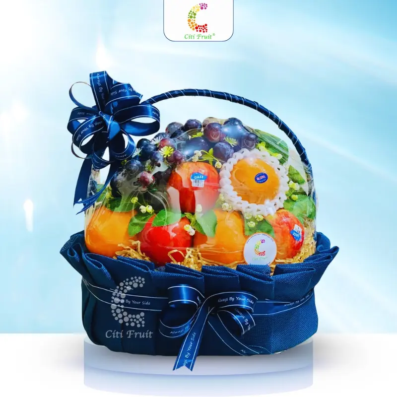 Giỏ Trái Cây Tặng Bác Sĩ CT52