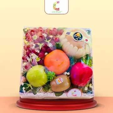 Hộp Trái Cây Quà Tặng HC40