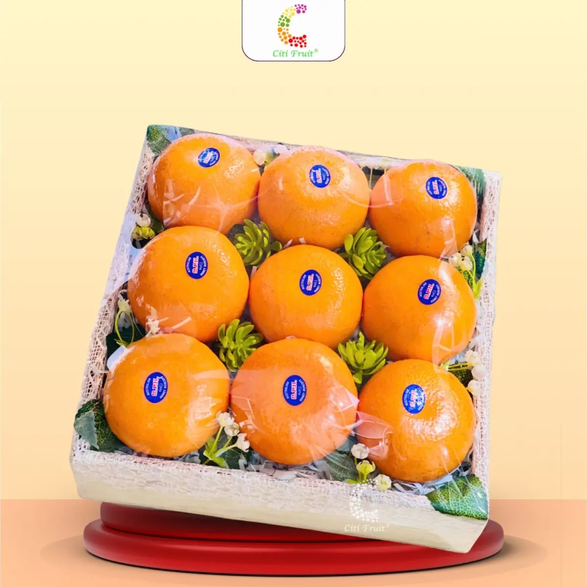 Hộp Trái Cây Quà Tặng HC46