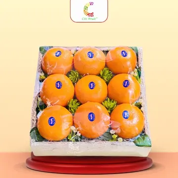 Hộp Trái Cây Quà Tặng HC46